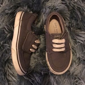 Sperry s